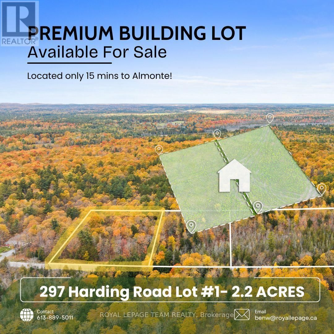 Primary Property View