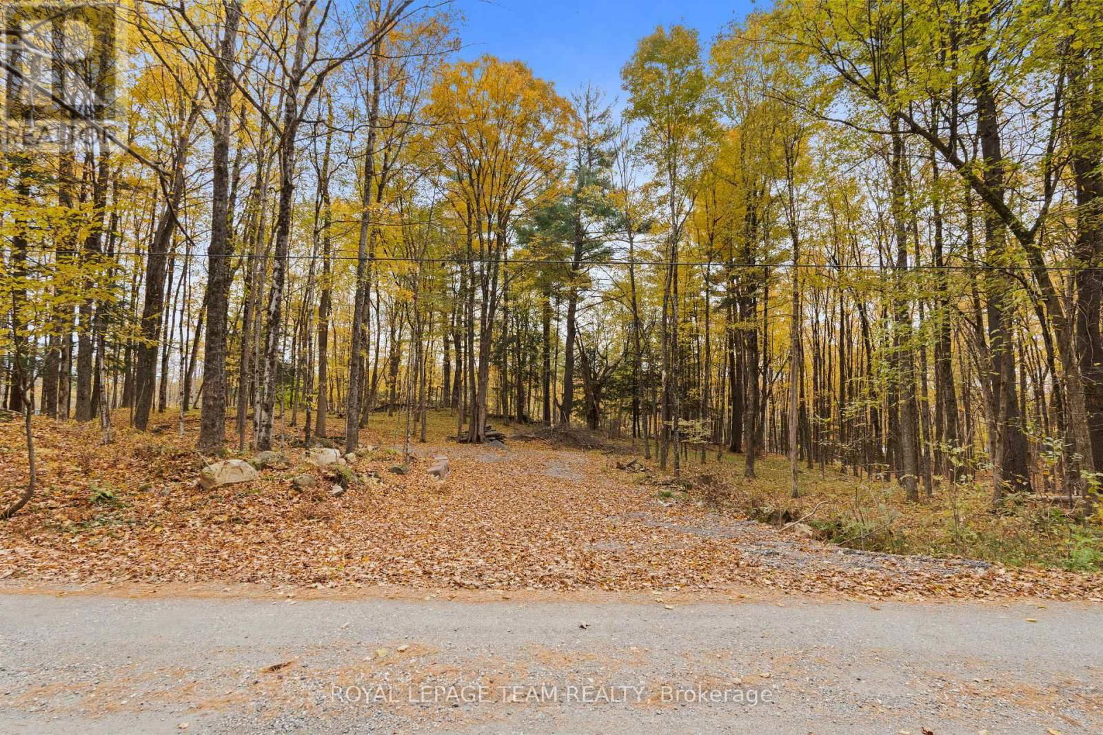 L1- 297 HARDING ROAD Image 3