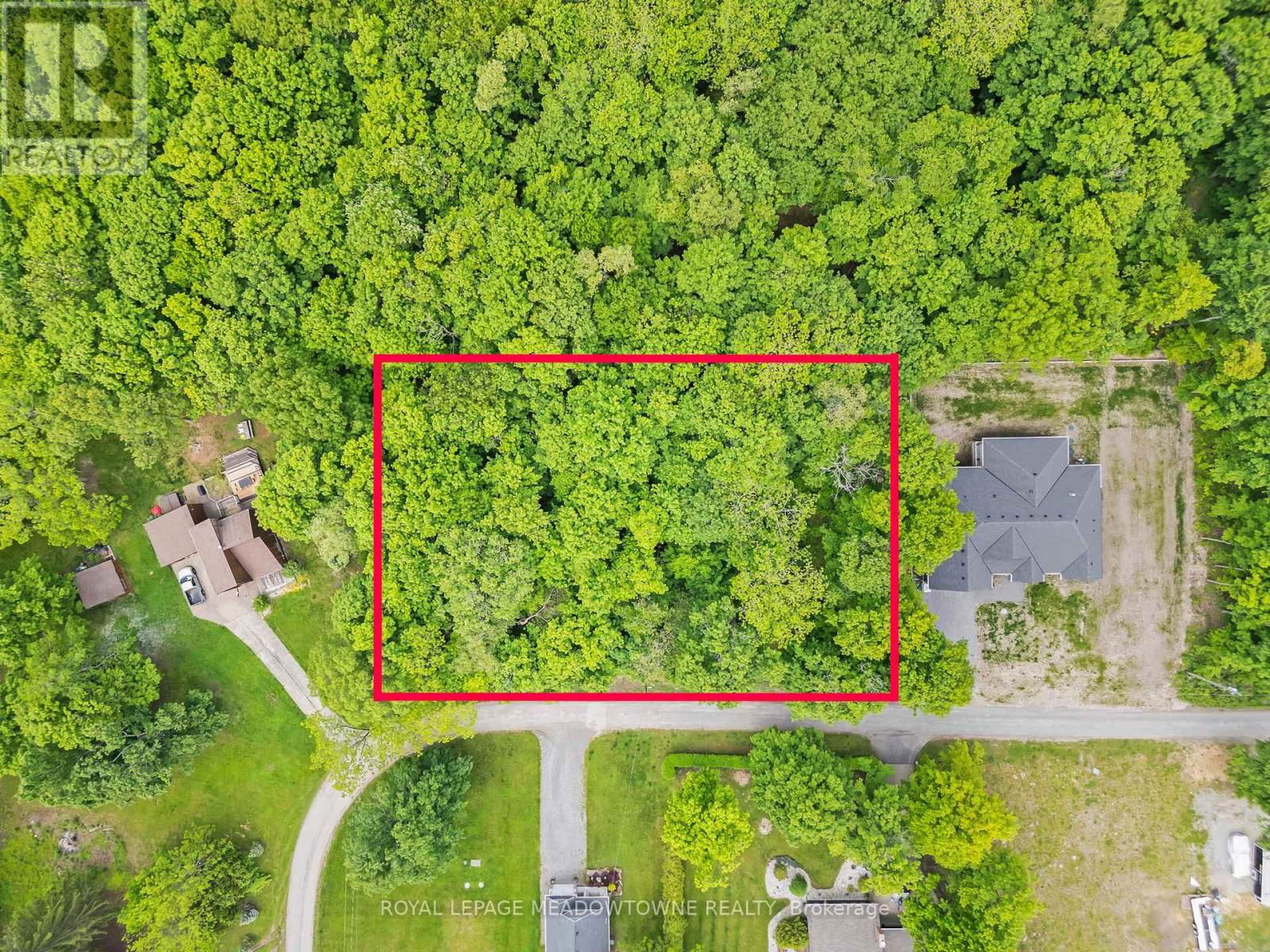 Primary Property View