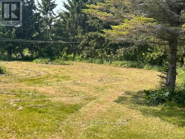 5296 PANMURE ROAD Image 7