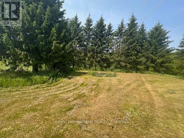 5296 PANMURE ROAD Image 8