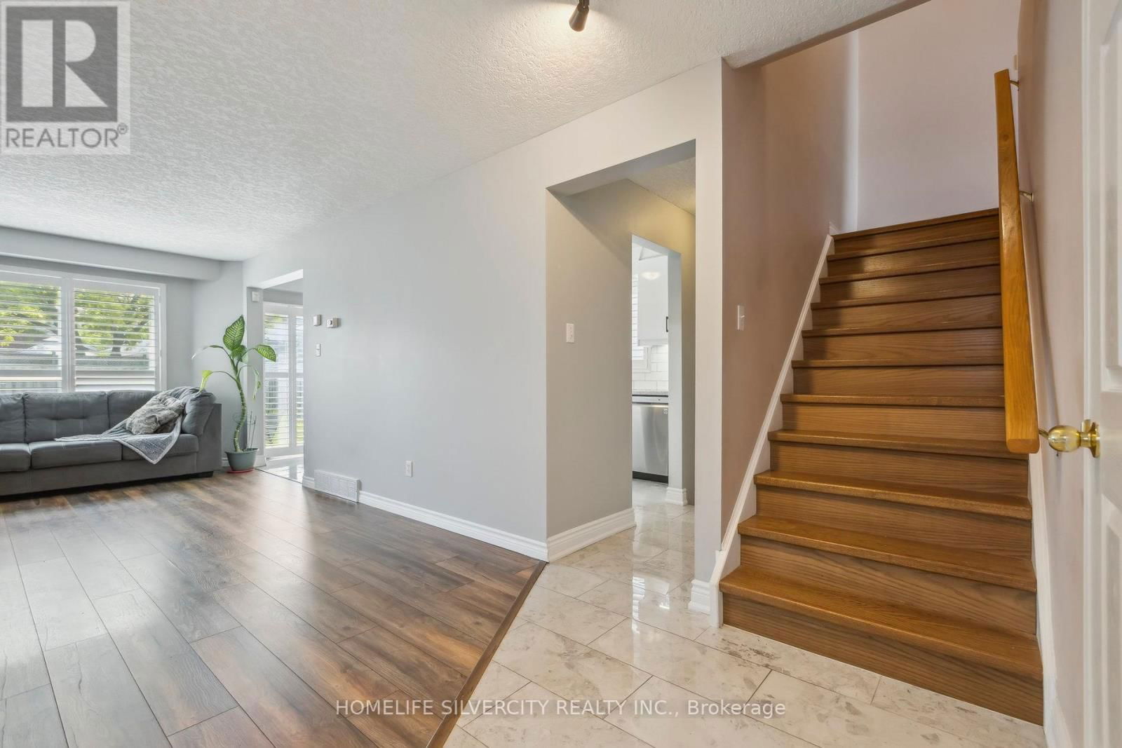 221 GREY FOX DRIVE Image 3