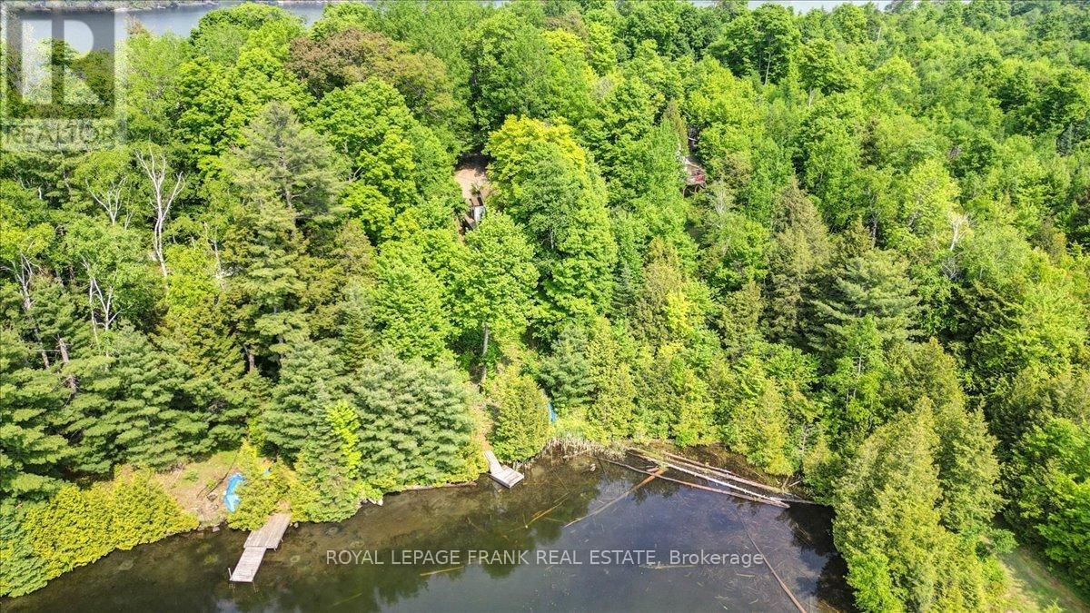 538 SKENE ROAD Image 32