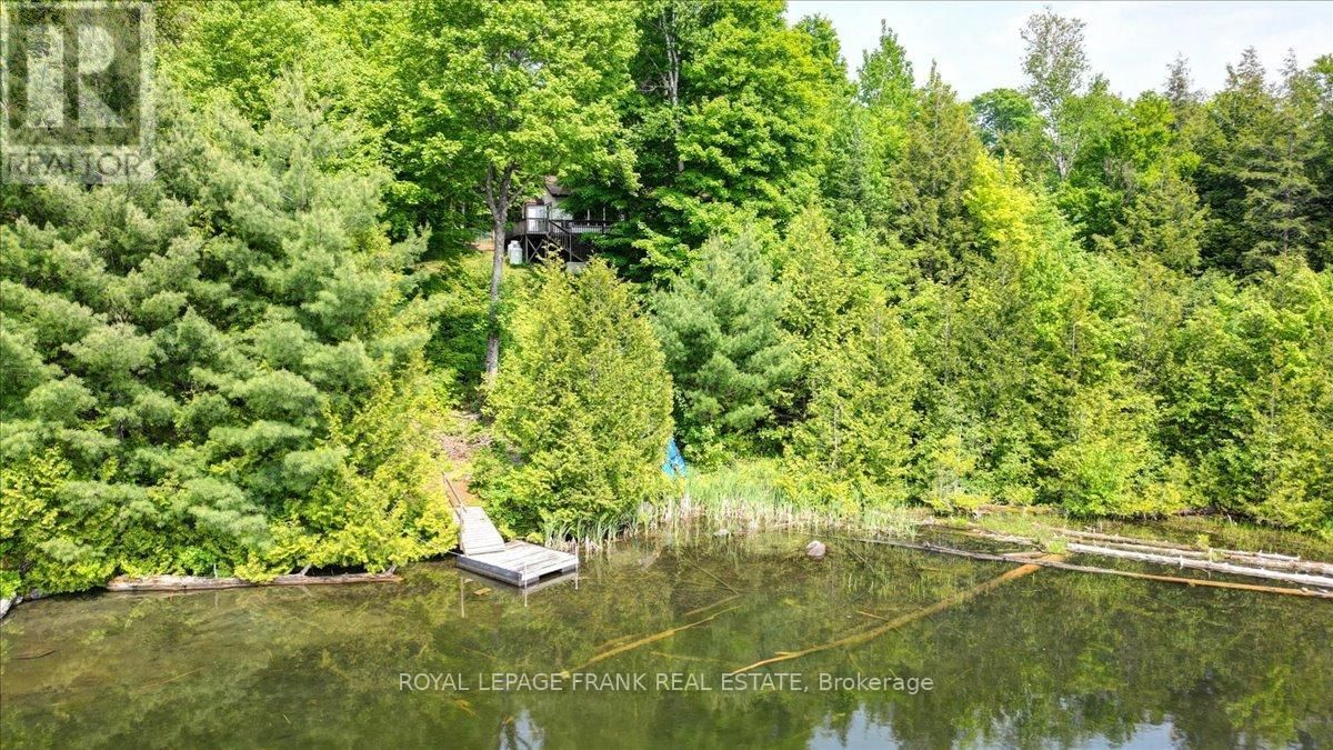 538 SKENE ROAD Image 41