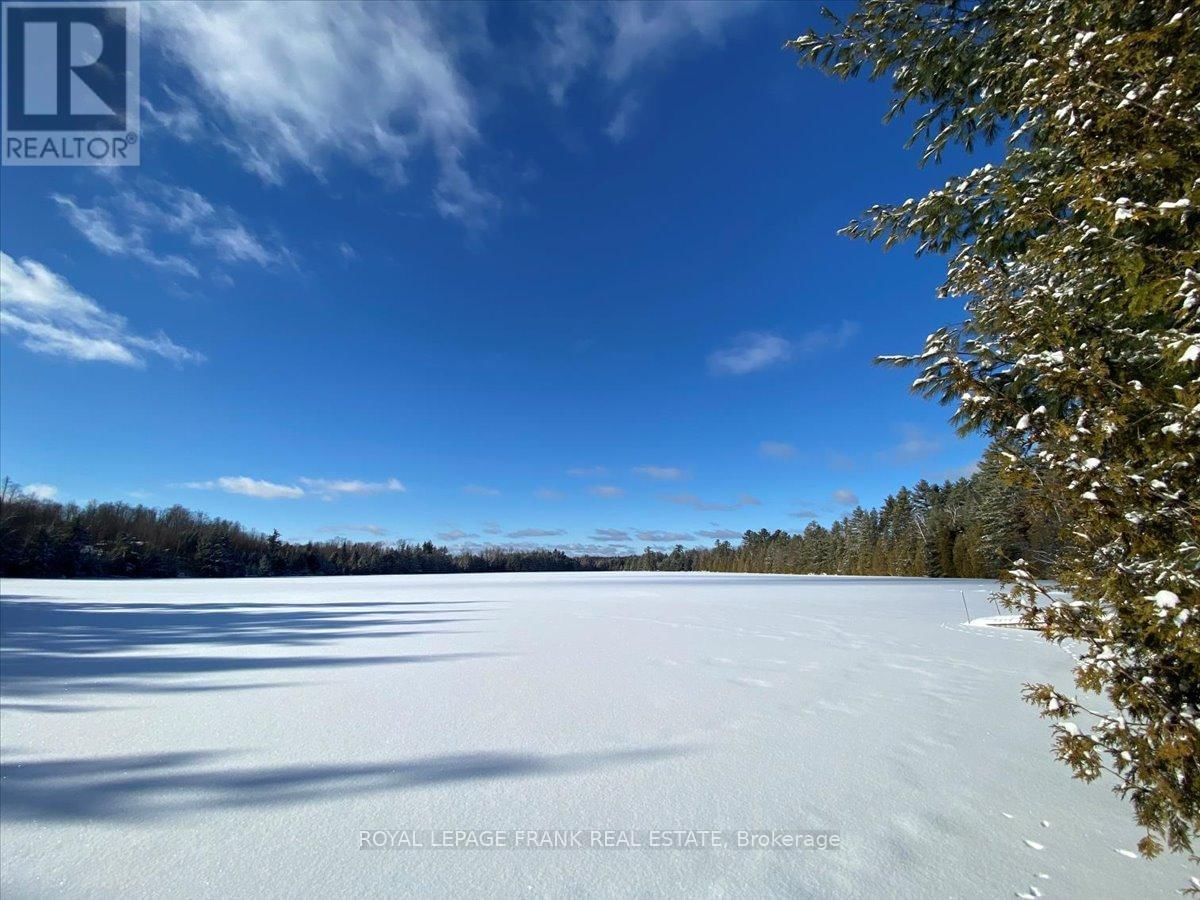 538 SKENE ROAD Image 47