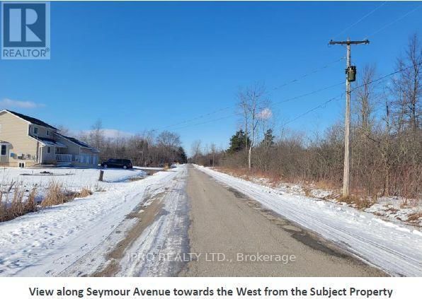 1019 SEYMOUR AVENUE Image 8