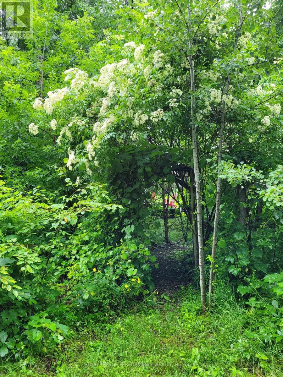 128 STATION TRAIL Image 40