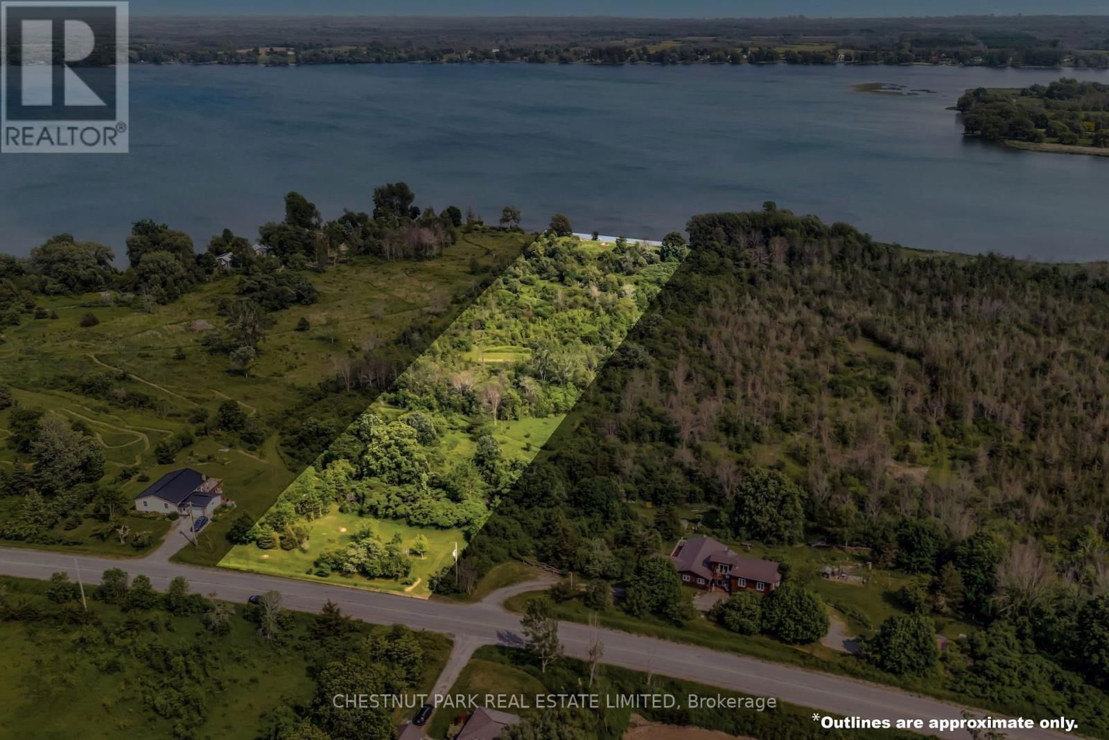 Primary Property View