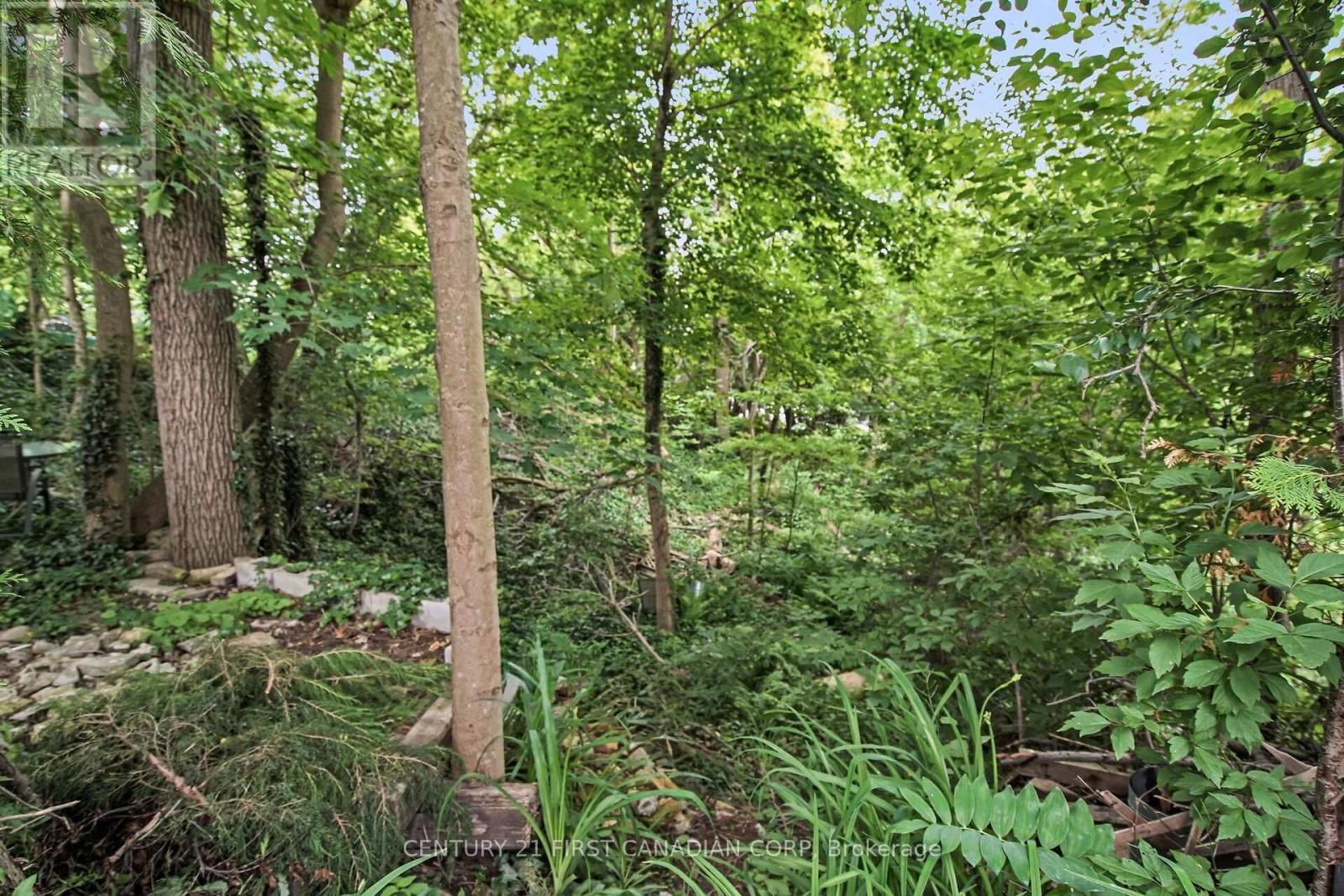 425 OLD WONDERLAND ROAD Image 42