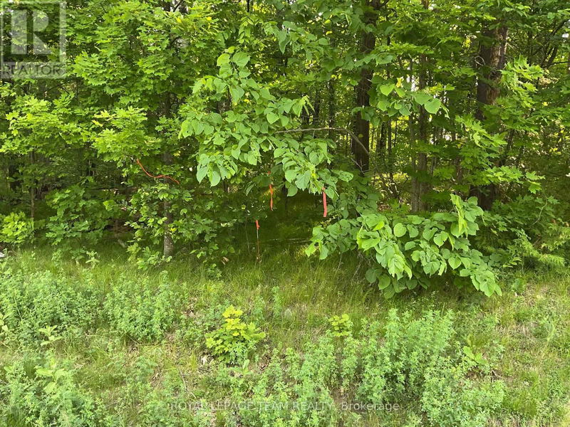 Tertiary Property View