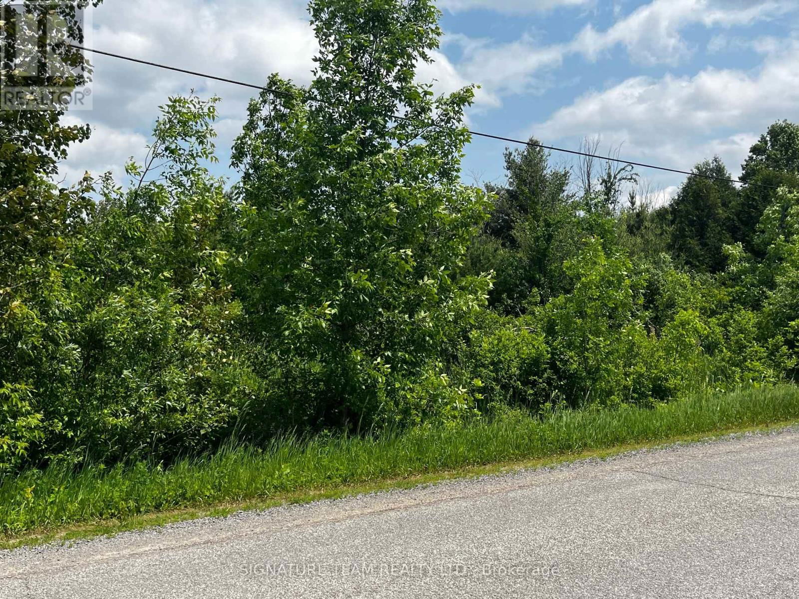 Primary Property View