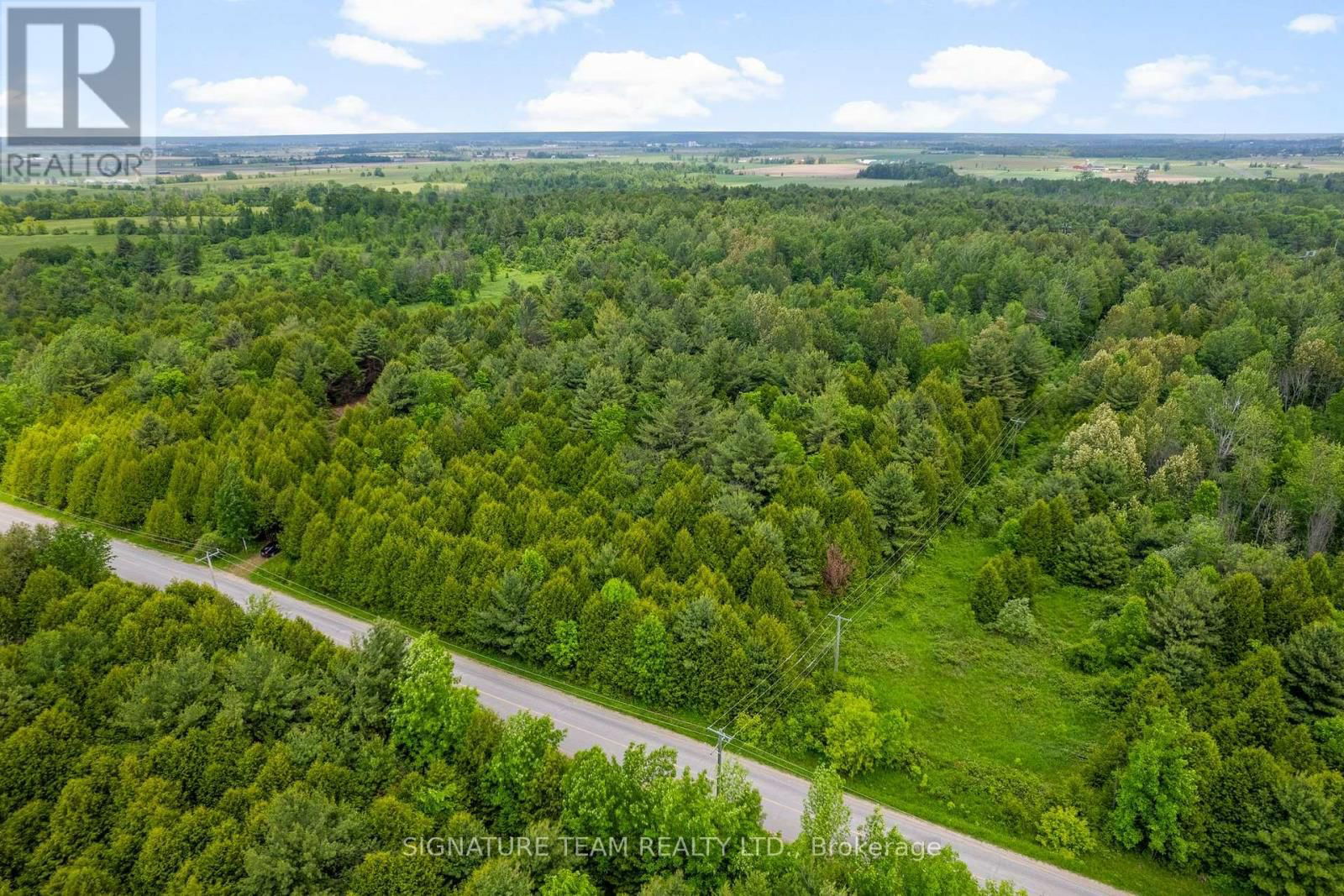 Primary Property View