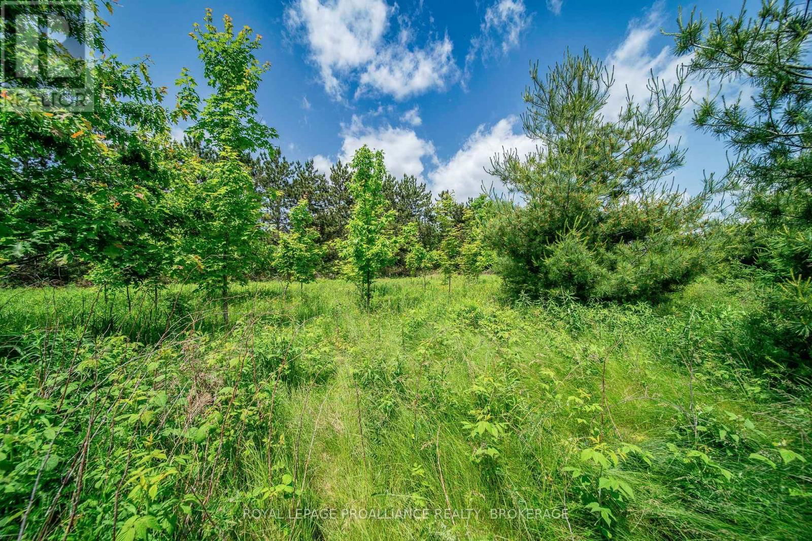 PT LT 9 KEELEY ROAD Image 24