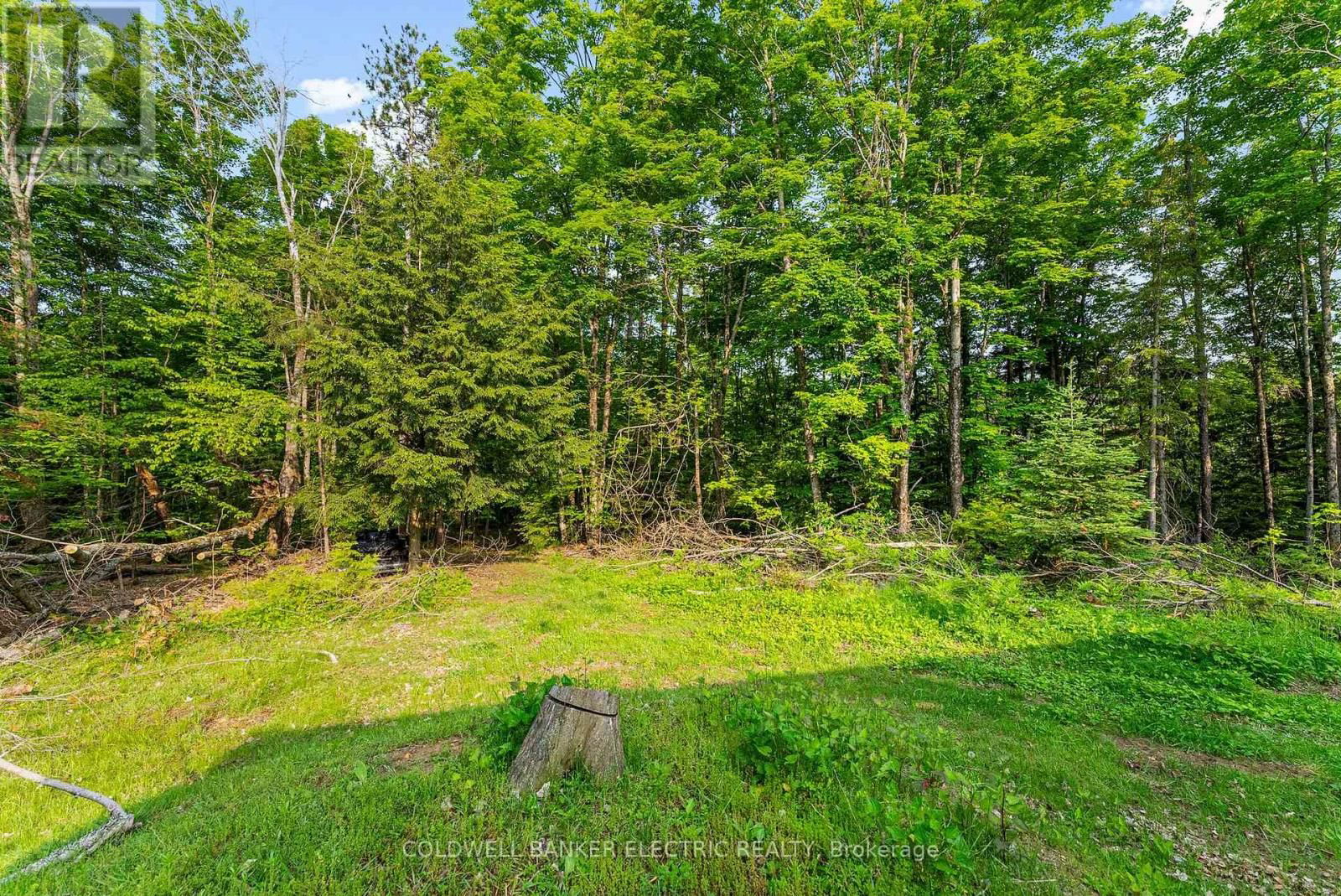 8248 COUNTY ROAD 46 ROAD Image 22