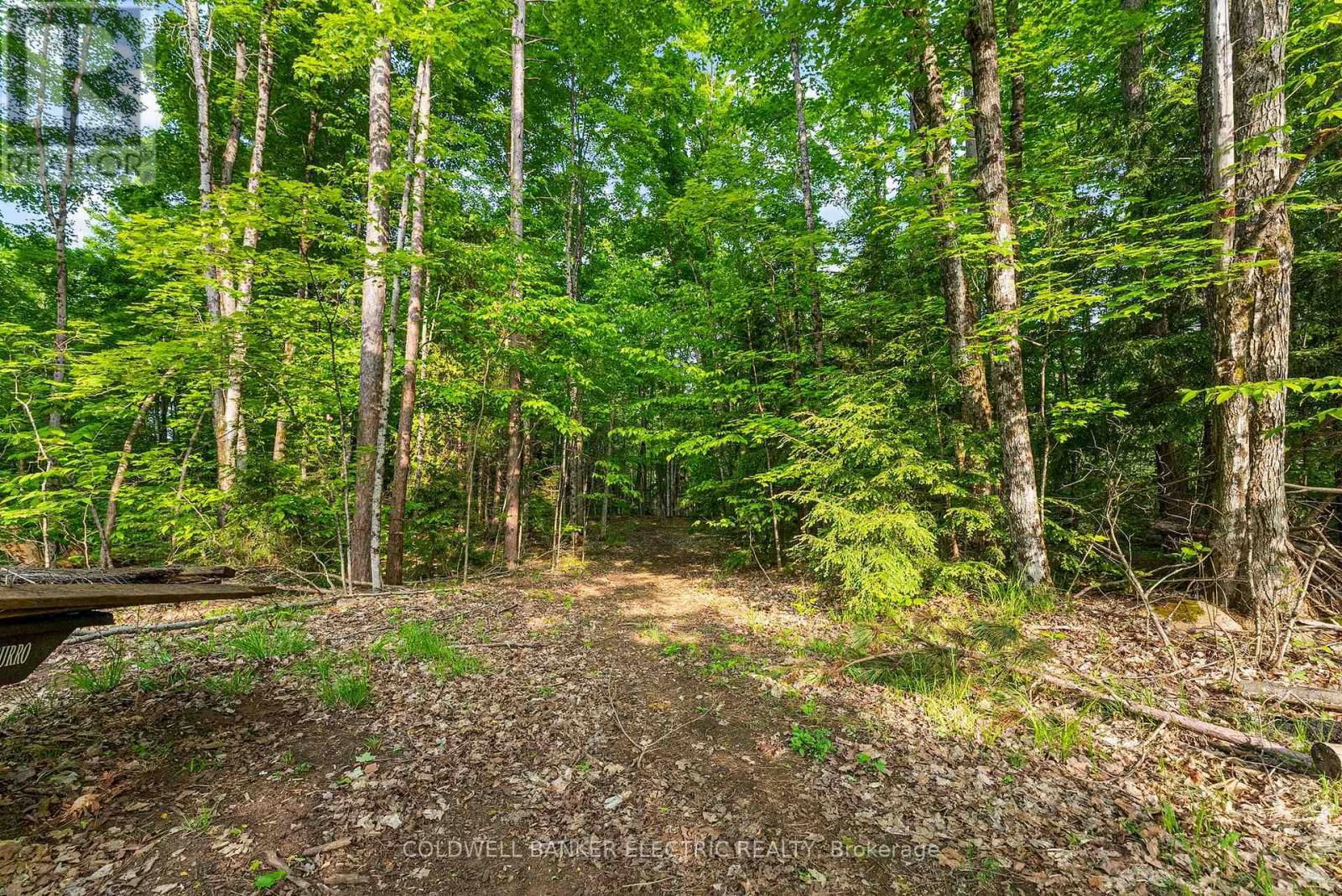 8248 COUNTY ROAD 46 ROAD Image 23