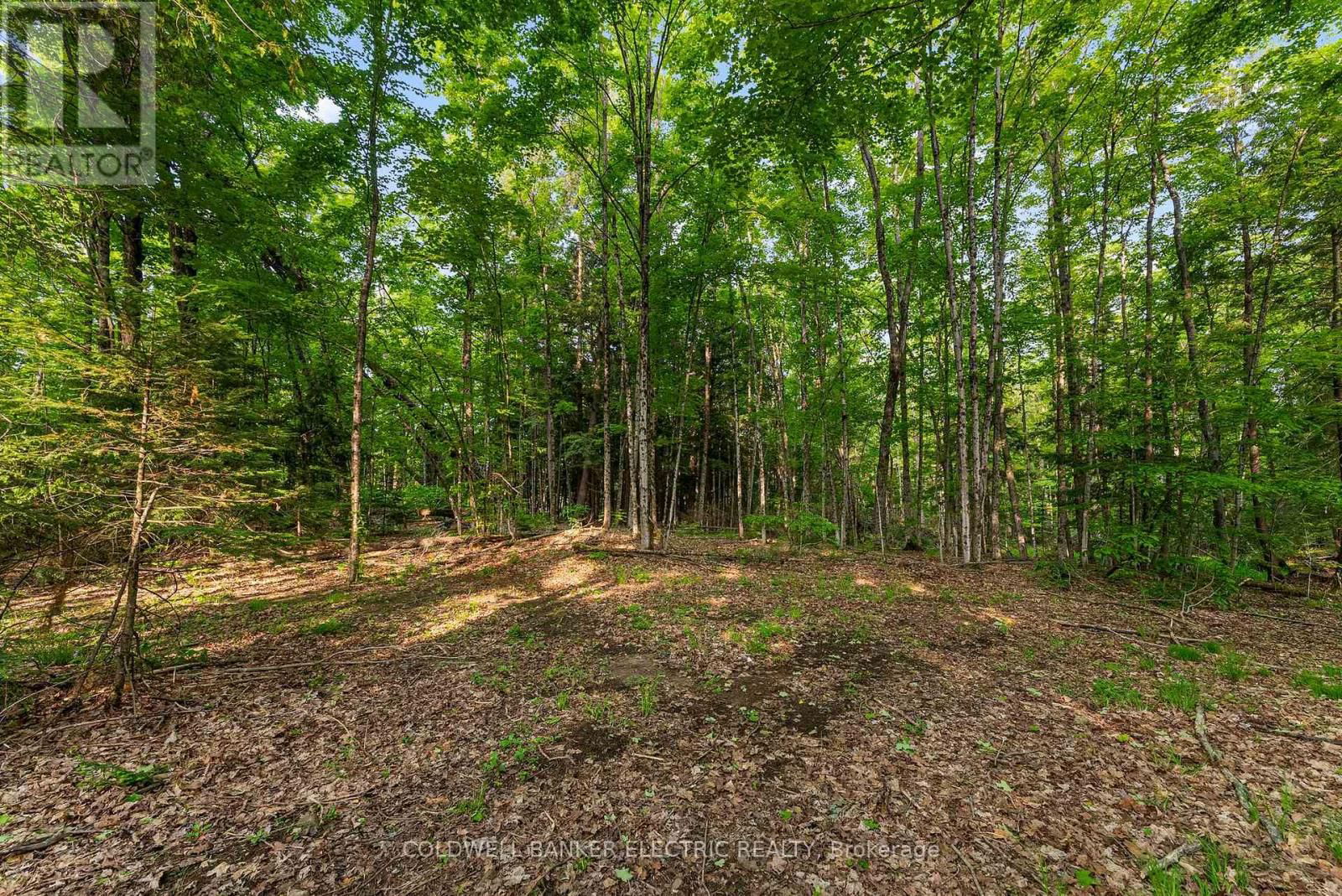 8248 COUNTY ROAD 46 ROAD Image 24