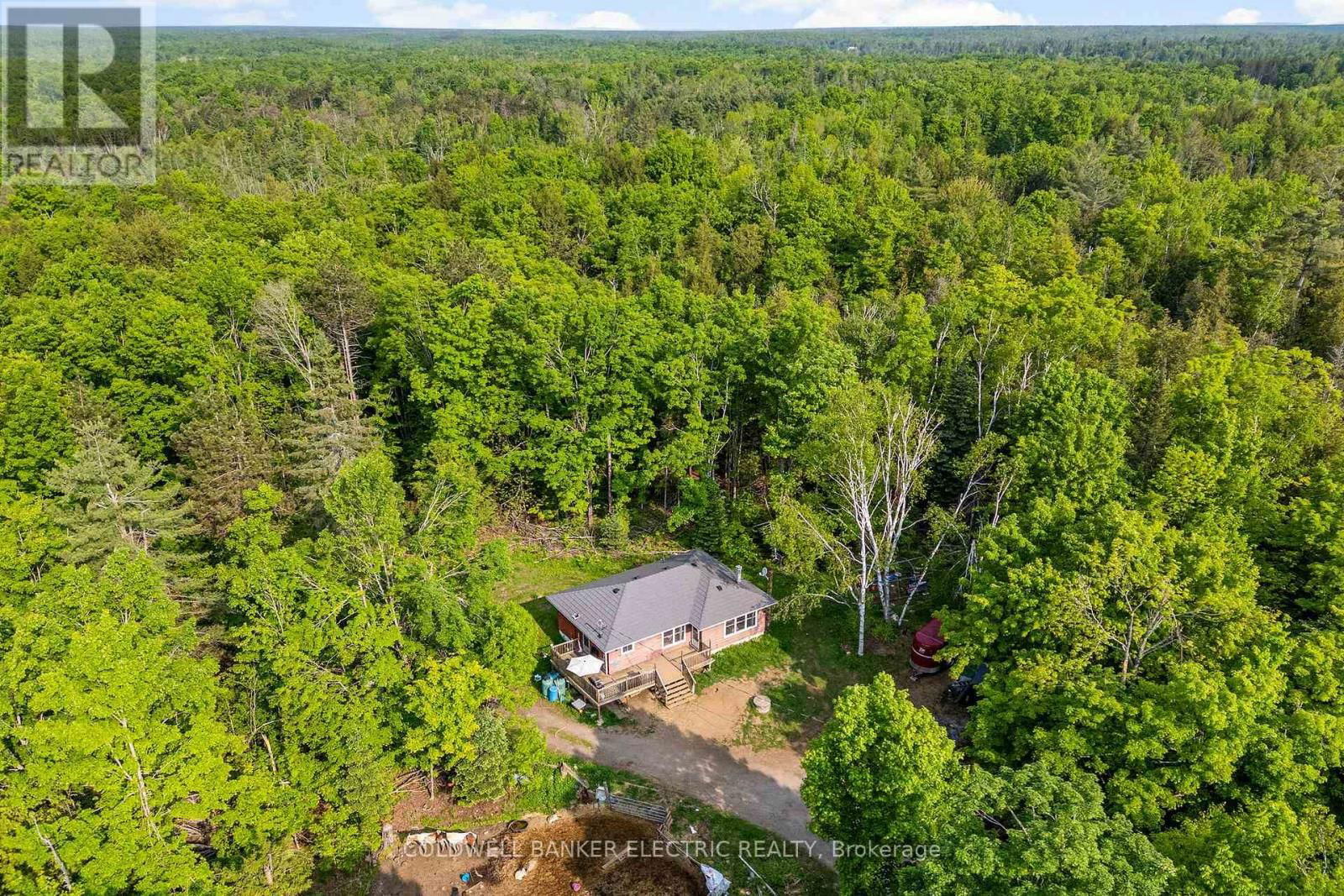 8248 COUNTY ROAD 46 ROAD Image 29