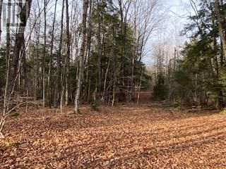 8248 COUNTY ROAD 46 ROAD Image 31