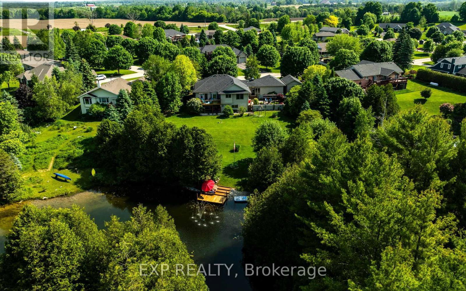 Primary Property View