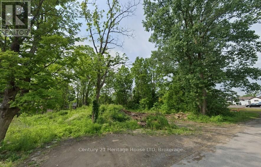 Primary Property View