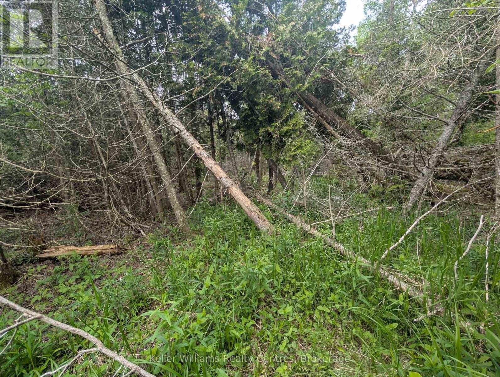 WALTER CHARMAN DRIVE Image 21