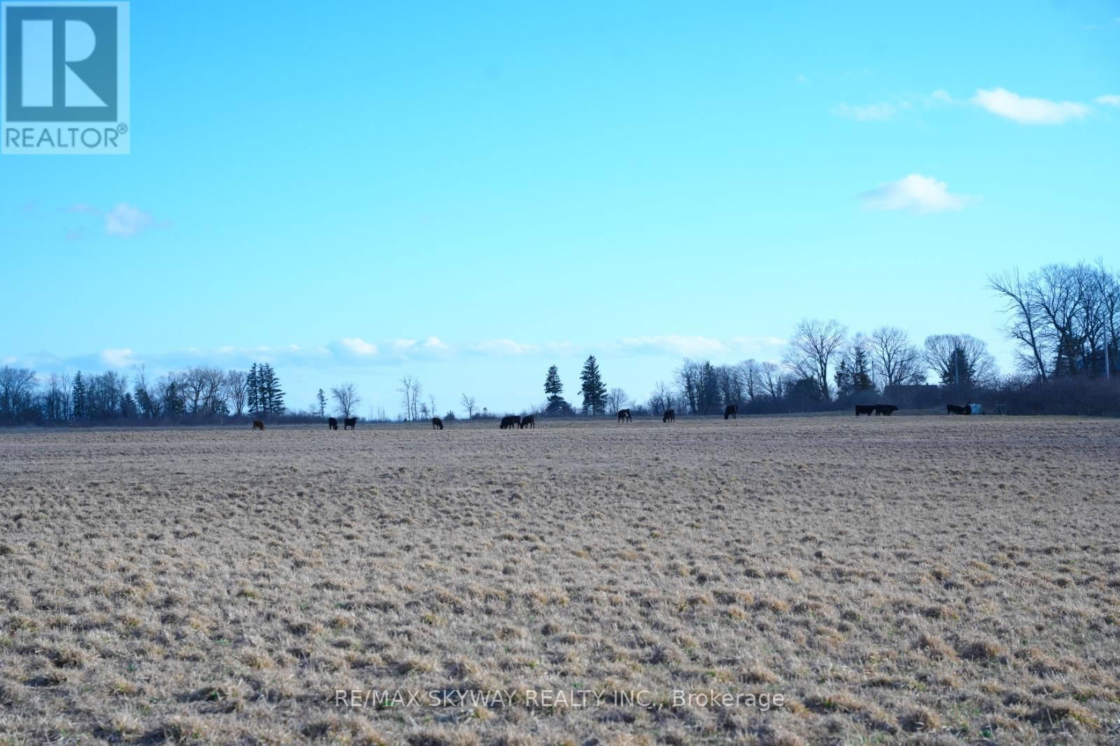 4688 GODBY ROAD Image 10