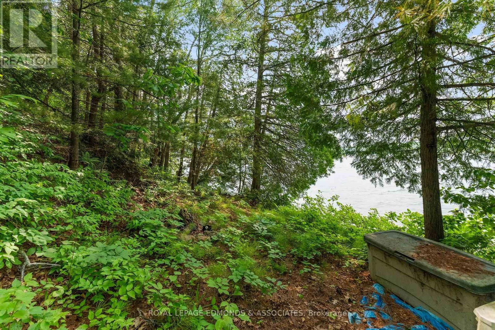 0 LAKE CLEAR ROAD Image 19