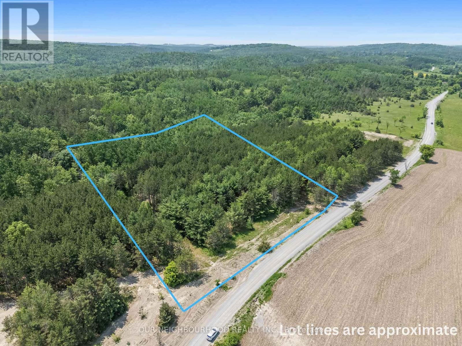 Primary Property View