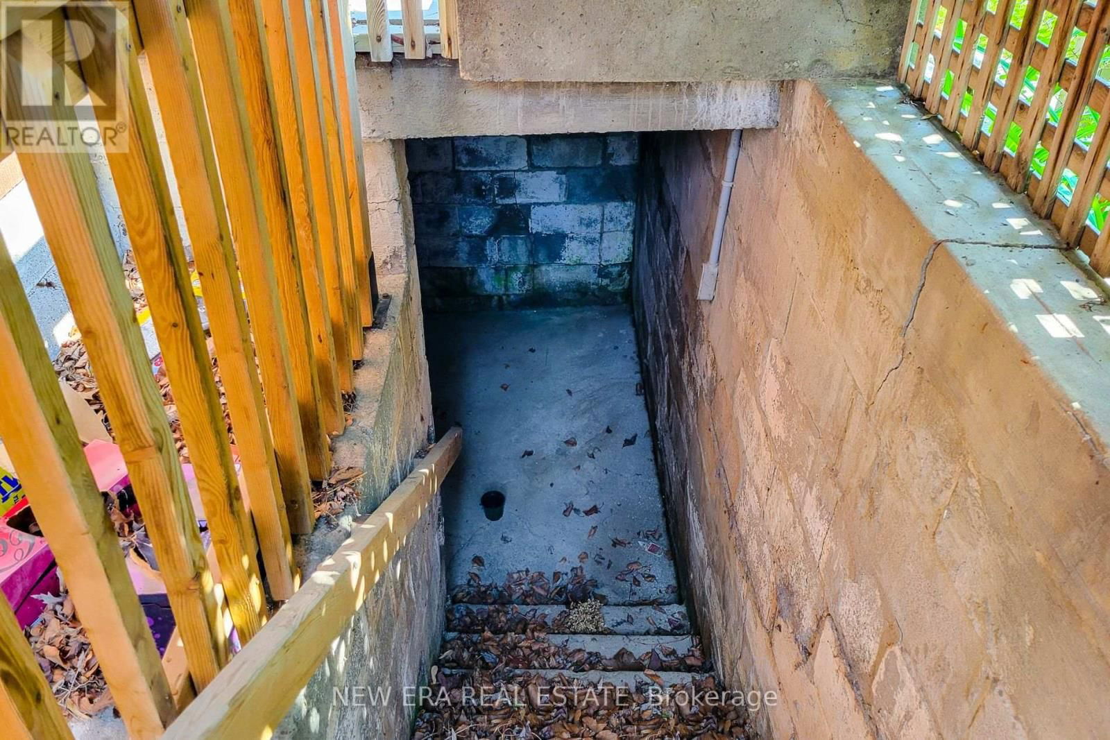 131 ERINDALE AVENUE Image 30