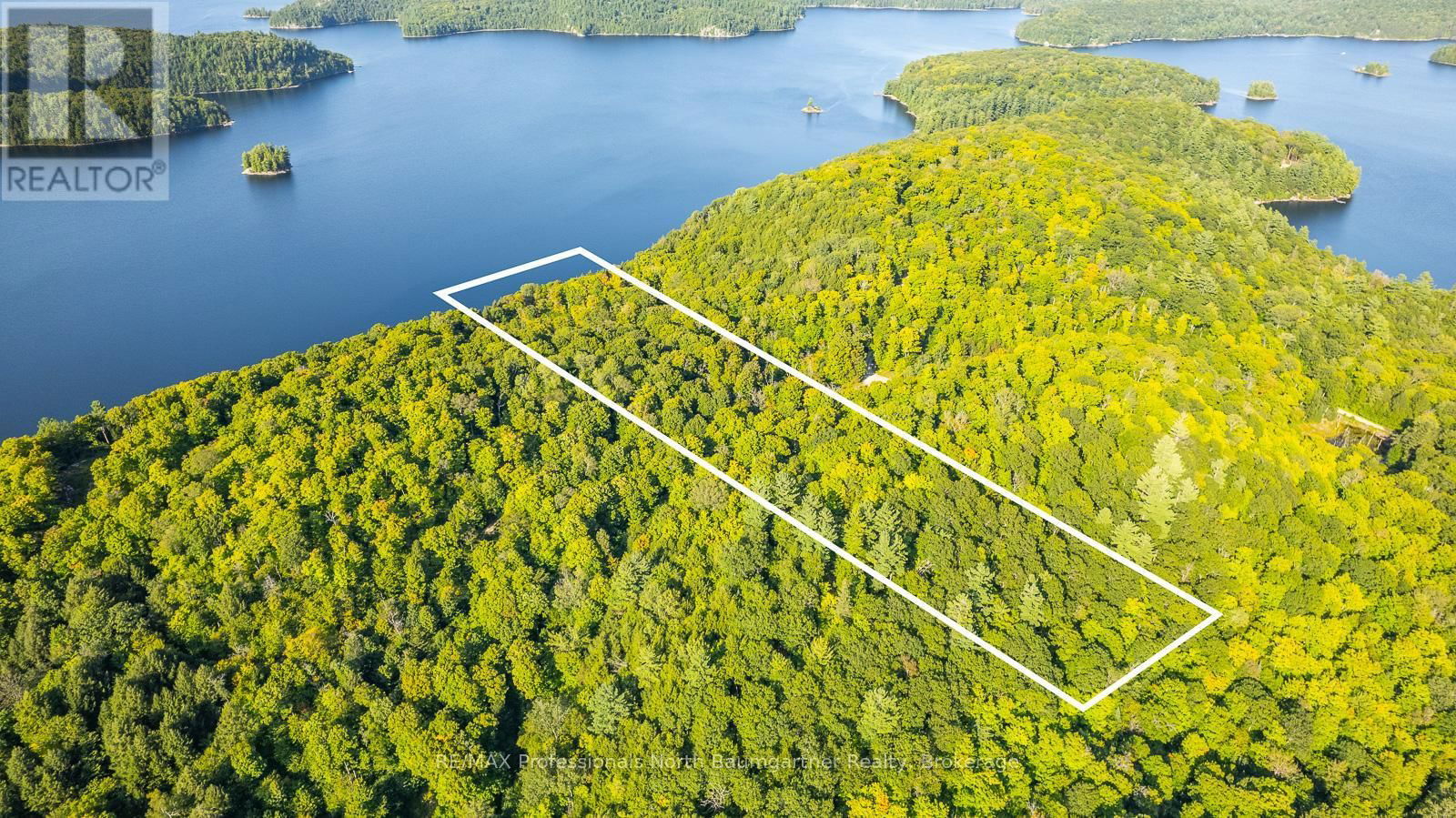 Primary Property View