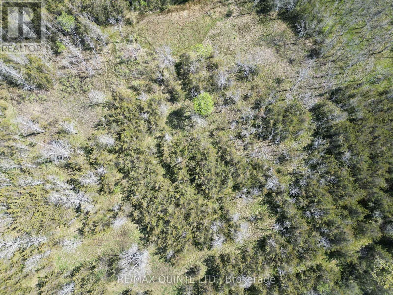 Part 2 - 0 ABRAMS ROAD Image 6
