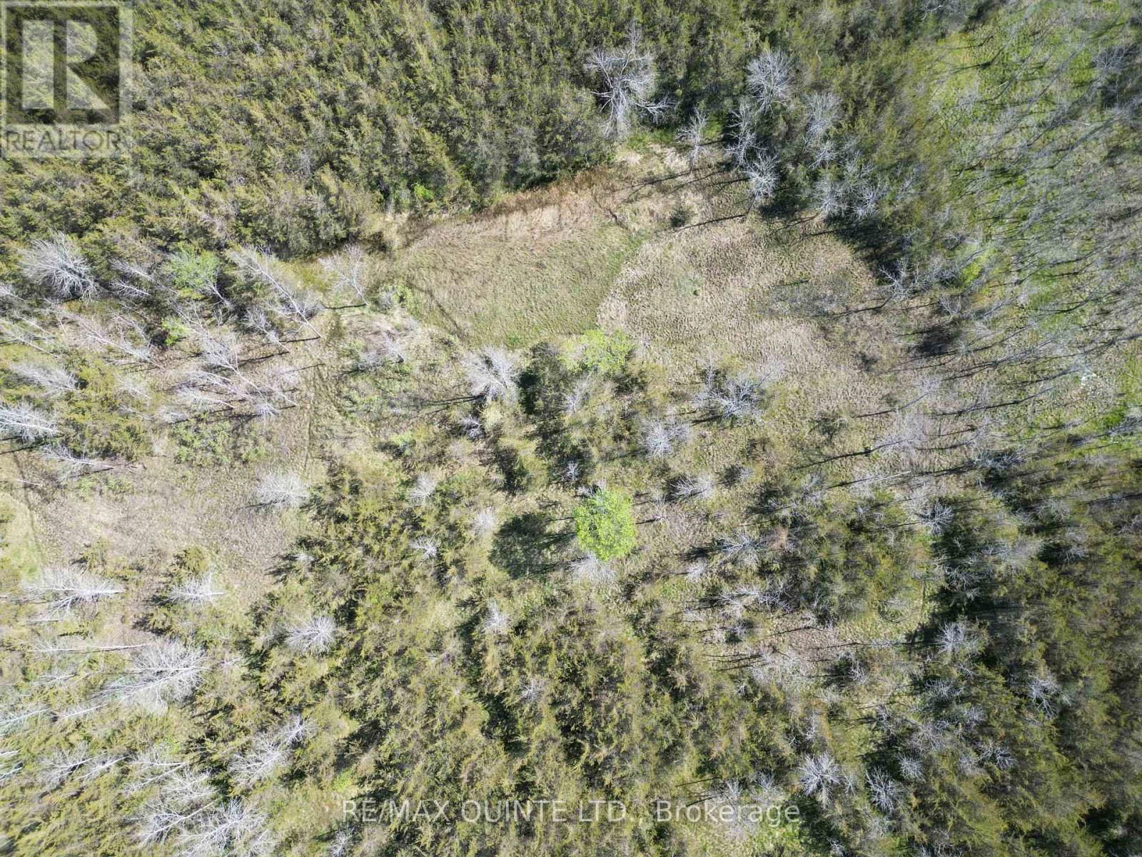 Part 2 - 0 ABRAMS ROAD Image 7