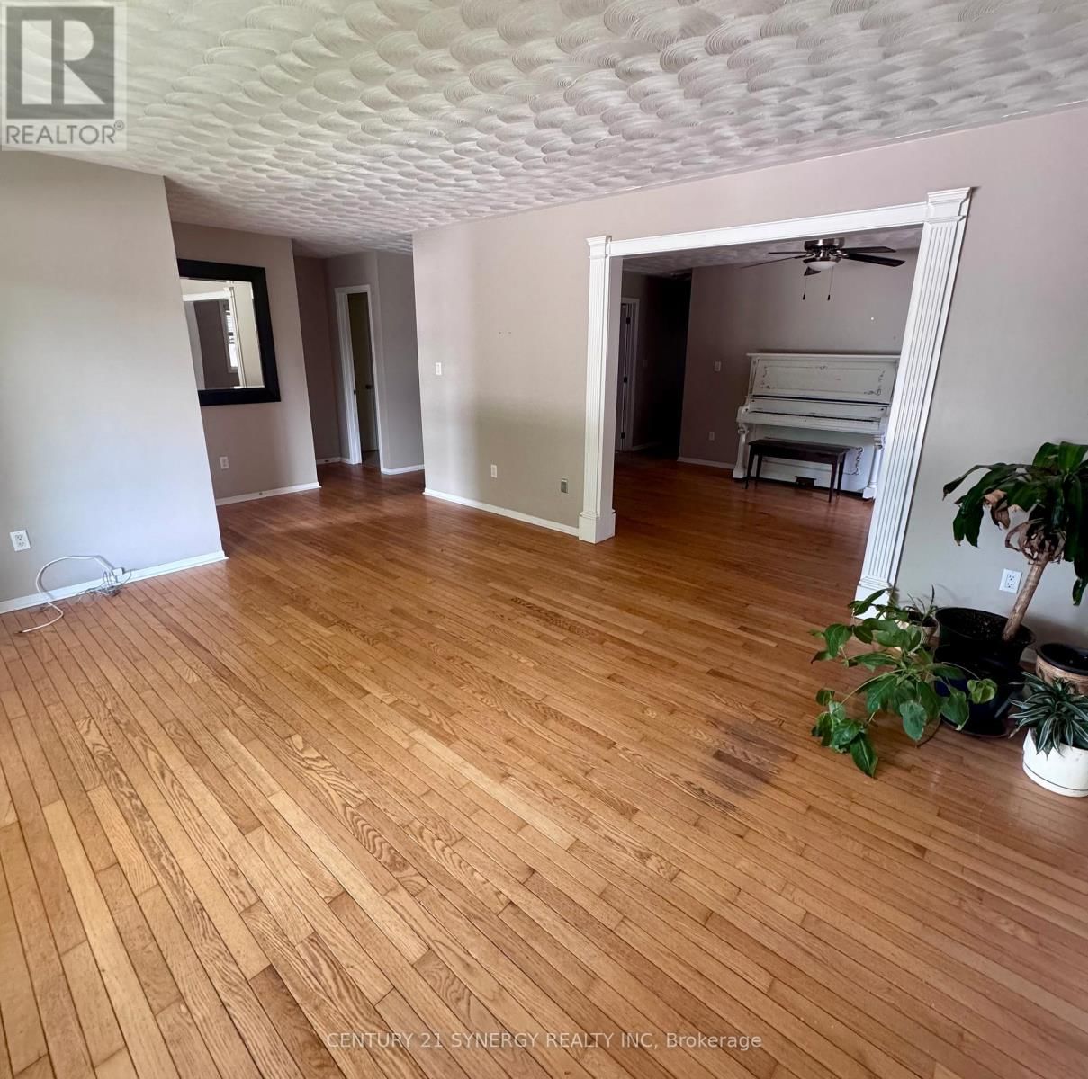 6 STRATHCONA STREET Image 17