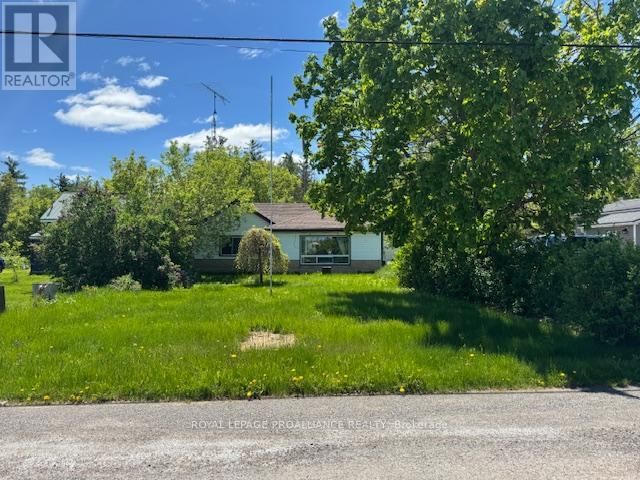 Primary Property View