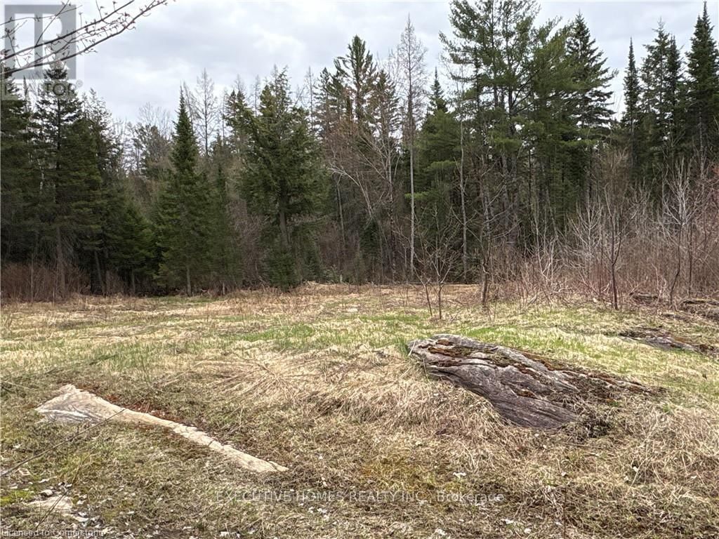 1014 BULRUSH TRAIL Image 10