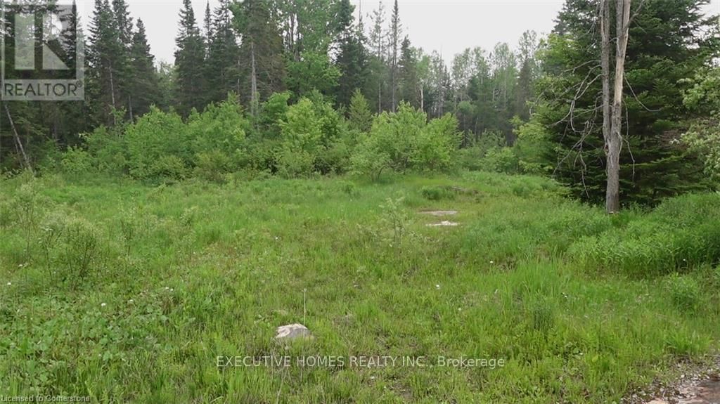 1014 BULRUSH TRAIL Image 11