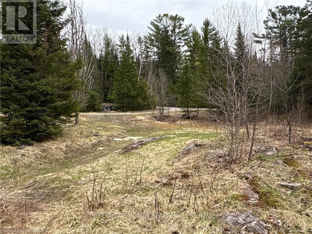 1014 BULRUSH TRAIL Image 12