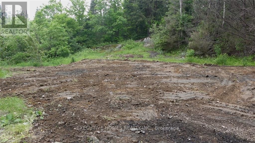 1014 BULRUSH TRAIL Image 13