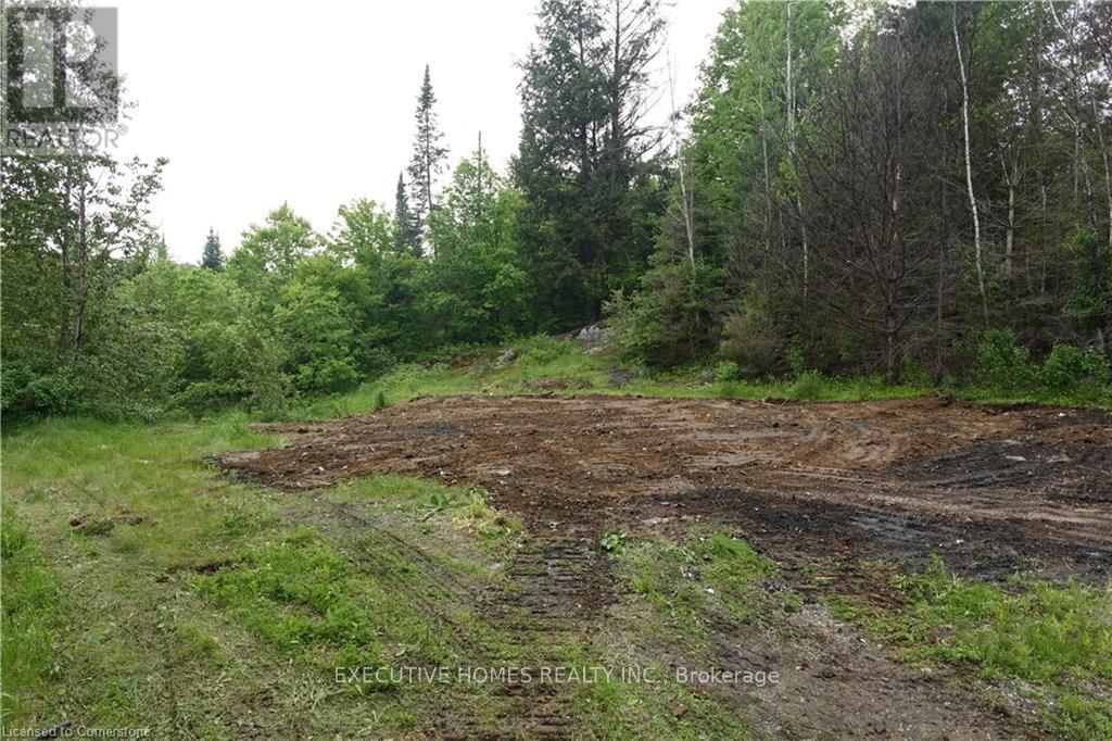 1014 BULRUSH TRAIL Image 14