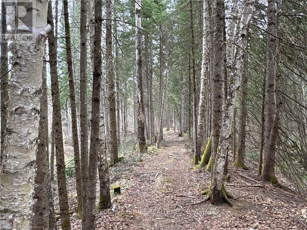 1014 BULRUSH TRAIL Image 15