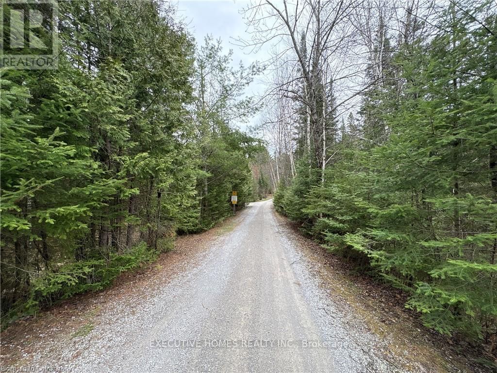 1014 BULRUSH TRAIL Image 4