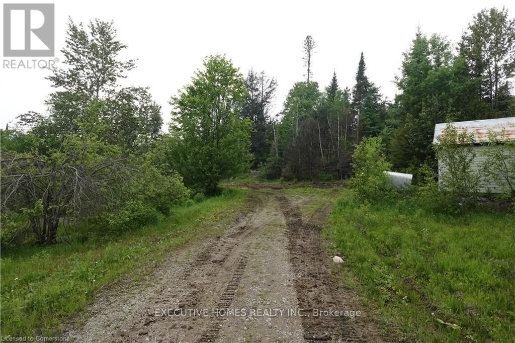 1014 BULRUSH TRAIL Image 5