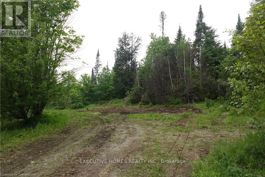 1014 BULRUSH TRAIL Image 6