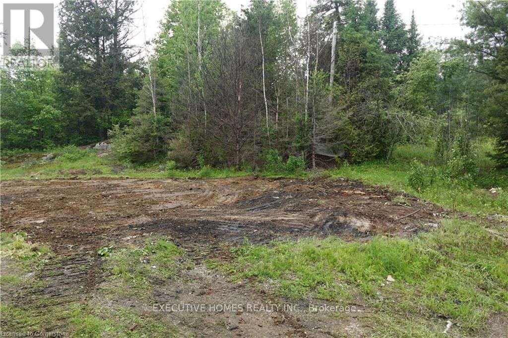 1014 BULRUSH TRAIL Image 8