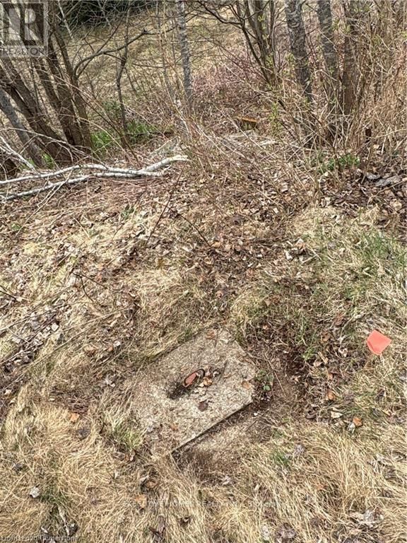 1014 BULRUSH TRAIL Image 9