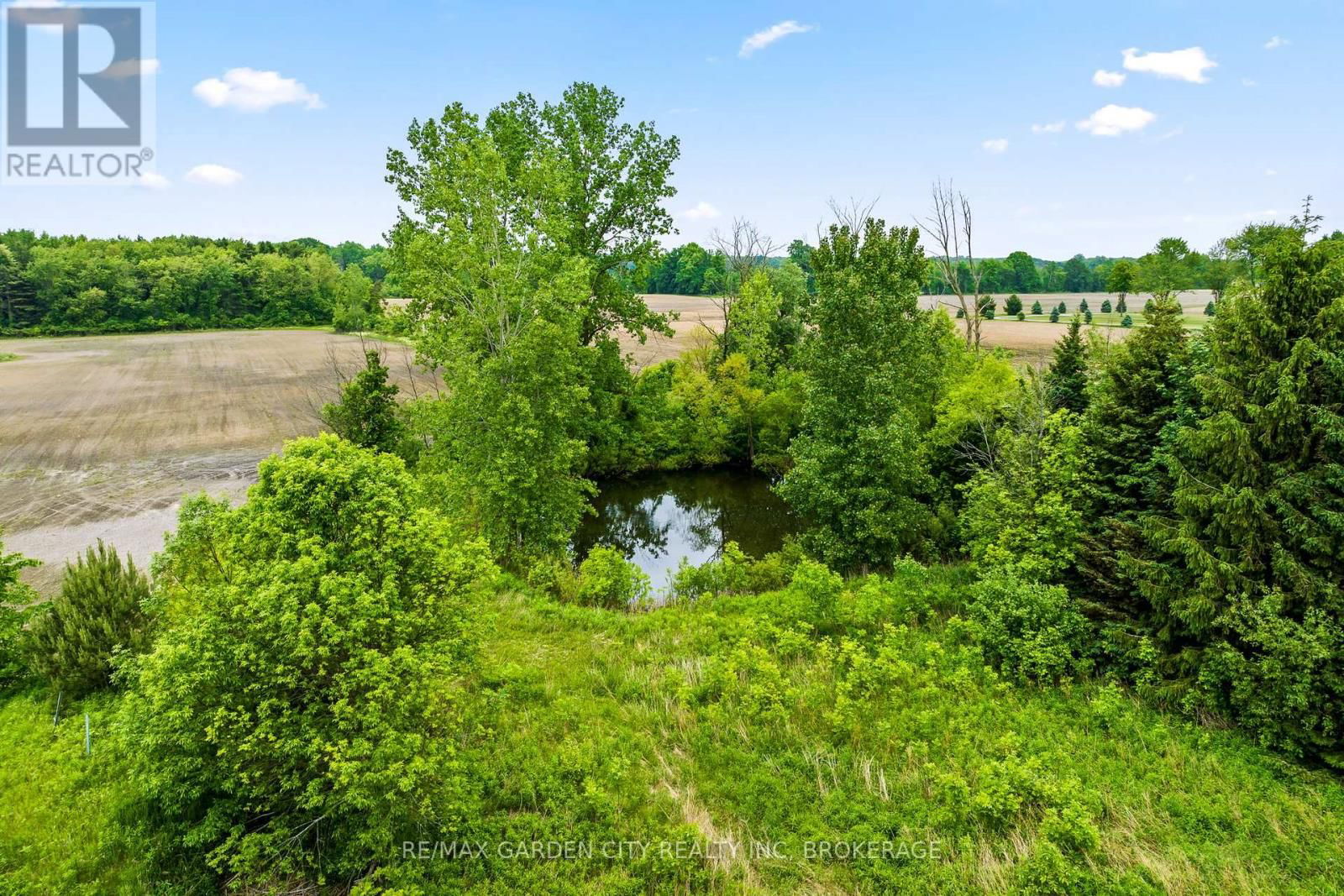 53825 ZION ROAD Image 33