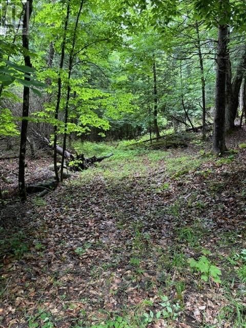 Lot 70 25TH LINE Image 18