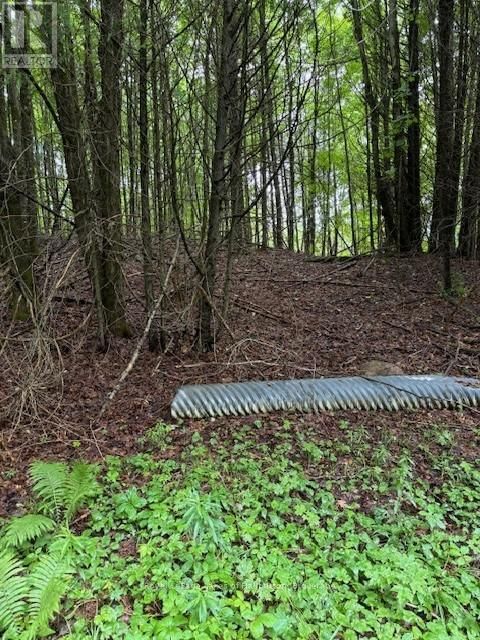 Lot 70 25TH LINE Image 3