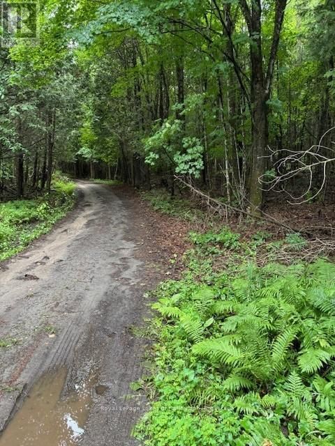 Lot 70 25TH LINE Image 5