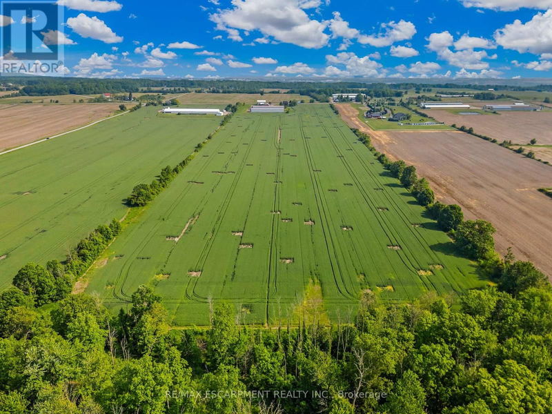 Tertiary Property View